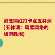 灵芝网红打卡点五林洞(五林洞：风靡网络的旅游胜地)