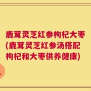 鹿茸灵芝红参枸杞大枣(鹿茸灵芝红参汤搭配枸杞和大枣供养健康)