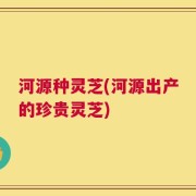 河源种灵芝(河源出产的珍贵灵芝)