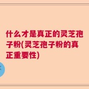 什么才是真正的灵芝孢子粉(灵芝孢子粉的真正重要性)