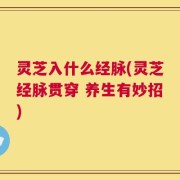 灵芝入什么经脉(灵芝经脉贯穿 养生有妙招)