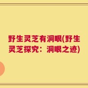 野生灵芝有洞眼(野生灵芝探究：洞眼之迹)