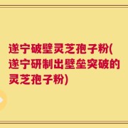 遂宁破壁灵芝孢子粉(遂宁研制出壁垒突破的灵芝孢子粉)