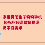 家用灵芝孢子粉粉碎机 轻松粉碎高效便捷满足家庭需求