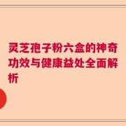 灵芝孢子粉六盒的神奇功效与健康益处全面解析