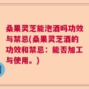 桑果灵芝能泡酒吗功效与禁忌(桑果灵芝酒的功效和禁忌：能否加工与使用。)