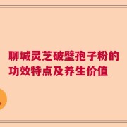 聊城灵芝破壁孢子粉的功效特点及养生价值