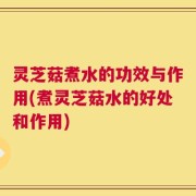 灵芝菇煮水的功效与作用(煮灵芝菇水的好处和作用)