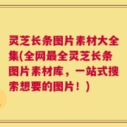 灵芝长条图片素材大全集(全网最全灵芝长条图片素材库，一站式搜索想要的图片！)
