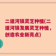二道河镇灵芝种植(二道河镇发展灵芝种植，创造农业新亮点)