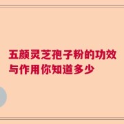五颜灵芝孢子粉的功效与作用你知道多少