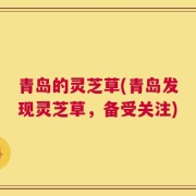 青岛的灵芝草(青岛发现灵芝草，备受关注)