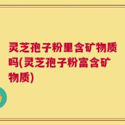 灵芝孢子粉里含矿物质吗(灵芝孢子粉富含矿物质)