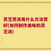 灵芝煲汤用什么方法煲好(如何制作美味的灵芝汤)