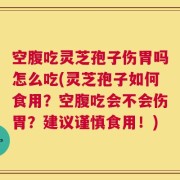 空腹吃灵芝孢子伤胃吗怎么吃(灵芝孢子如何食用？空腹吃会不会伤胃？建议谨慎食用！)