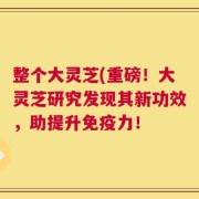 整个大灵芝(重磅！大灵芝研究发现其新功效，助提升免疫力！
