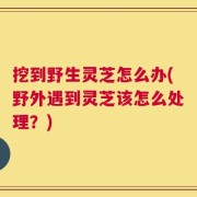 挖到野生灵芝怎么办(野外遇到灵芝该怎么处理？)