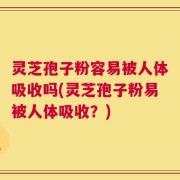 灵芝孢子粉容易被人体吸收吗(灵芝孢子粉易被人体吸收？)