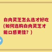 白肉灵芝怎么选才好吃(如何选购白肉灵芝才能口感更佳？)