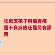吃灵芝孢子粉后胃痛 是不良反应还是另有原因
