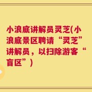 小浪底讲解员灵芝(小浪底景区聘请“灵芝”讲解员，以扫除游客“盲区”)