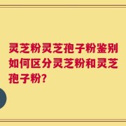 灵芝粉灵芝孢子粉鉴别如何区分灵芝粉和灵芝孢子粉？