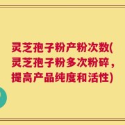 灵芝孢子粉产粉次数(灵芝孢子粉多次粉碎，提高产品纯度和活性)