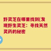 野灵芝在哪里找到(发现野生灵芝：寻找天然灵药的秘密