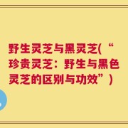 野生灵芝与黑灵芝(“珍贵灵芝：野生与黑色灵芝的区别与功效”)