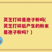 灵芝打碎是孢子粉吗(灵芝打碎后产生的粉末是孢子粉吗？)