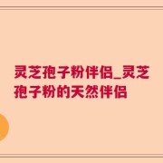 灵芝孢子粉伴侣_灵芝孢子粉的天然伴侣