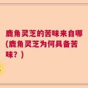 鹿角灵芝的苦味来自哪(鹿角灵芝为何具备苦味?)