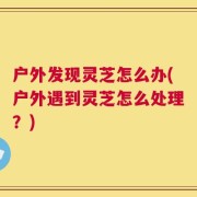 户外发现灵芝怎么办(户外遇到灵芝怎么处理？)