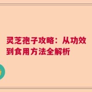 灵芝孢子攻略：从功效到食用方法全解析