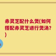 赤灵芝配什么煲(如何搭配赤灵芝进行煲汤？)