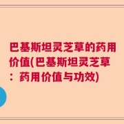 巴基斯坦灵芝草的药用价值(巴基斯坦灵芝草：药用价值与功效)