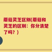 蘑菇灵芝区别(蘑菇和灵芝的区别：你分清楚了吗？)