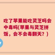 吃了苹果能吃灵芝吗会中毒吗(苹果与灵芝拼饭，会不会毒翻天？)