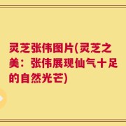 灵芝张伟图片(灵芝之美：张伟展现仙气十足的自然光芒)