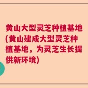 黄山大型灵芝种植基地(黄山建成大型灵芝种植基地,为灵芝生长提供新环境)
