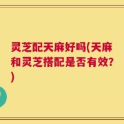 灵芝配天麻好吗(天麻和灵芝搭配是否有效？)