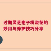 过期灵芝孢子粉浇花的妙用与养护技巧分享