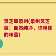 灵芝草泉州(泉州灵芝草：自然纯净，惊艳你的味蕾)