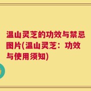 温山灵芝的功效与禁忌图片(温山灵芝：功效与使用须知)