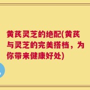黄芪灵芝的绝配(黄芪与灵芝的完美搭档，为你带来健康好处)