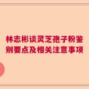林志彬谈灵芝孢子粉鉴别要点及相关注意事项
