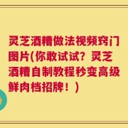 灵芝酒糟做法视频窍门图片(你敢试试？灵芝酒糟自制教程秒变高级鲜肉档招牌！)