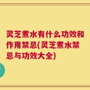 灵芝煮水有什么功效和作用禁忌(灵芝煮水禁忌与功效大全)