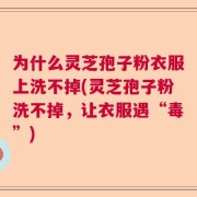 为什么灵芝孢子粉衣服上洗不掉(灵芝孢子粉洗不掉，让衣服遇“毒”)