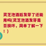 灵芝泡酒后发芽了还能用吗(灵芝泡酒发芽是否损坏，简单了解一下！)